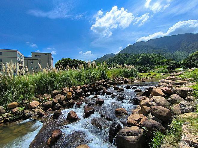 美海军对原住民村庄摧毁事件道歉：历史伤痕的反思与教训